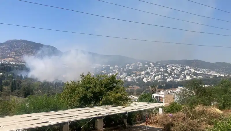Muğla Orman Yangınları Sonunda Kontrol Altına Alındı: İyileşme Süreci Başladı!